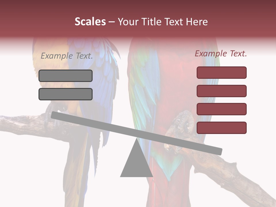 Red And Green Blue And Yellow Colourful PowerPoint Template