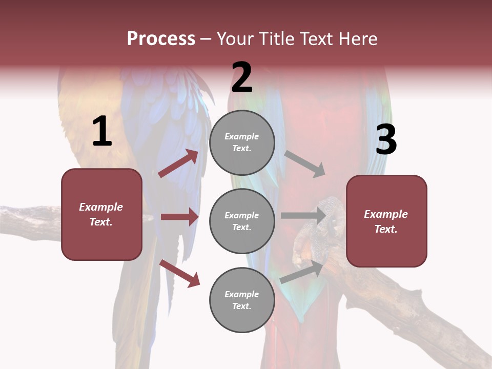 Red And Green Blue And Yellow Colourful PowerPoint Template