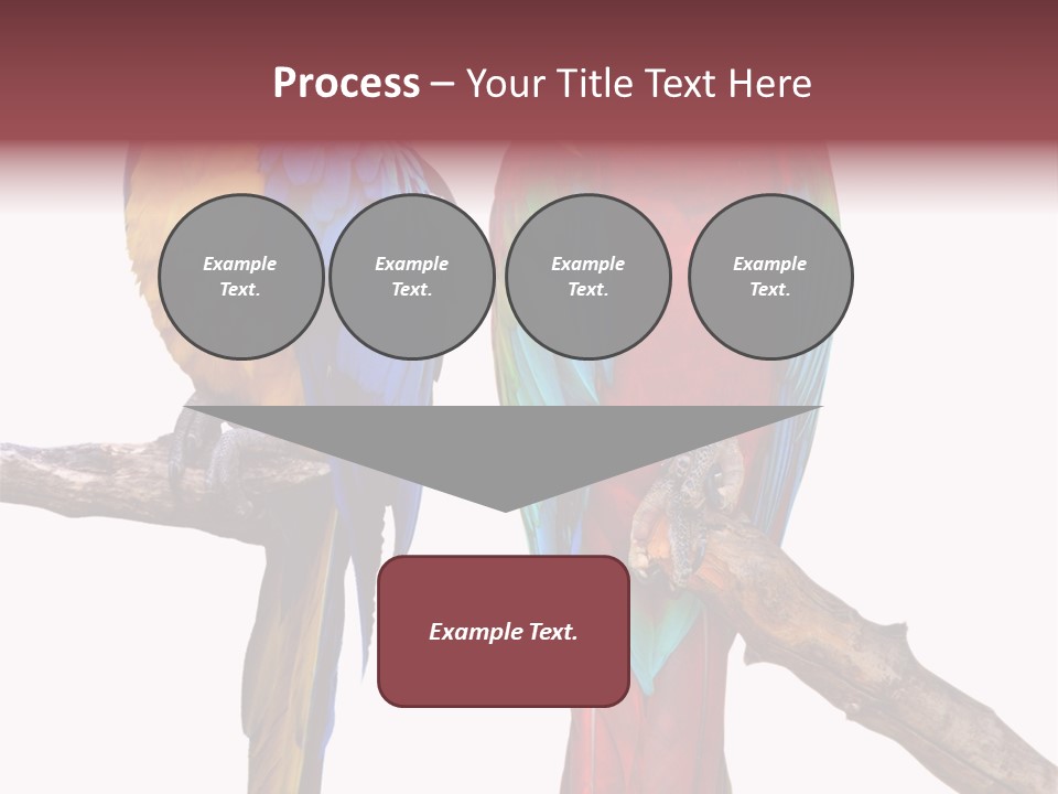 Red And Green Blue And Yellow Colourful PowerPoint Template