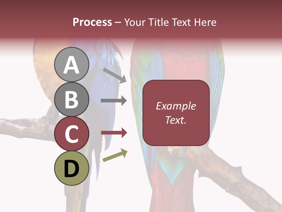 Red And Green Blue And Yellow Colourful PowerPoint Template