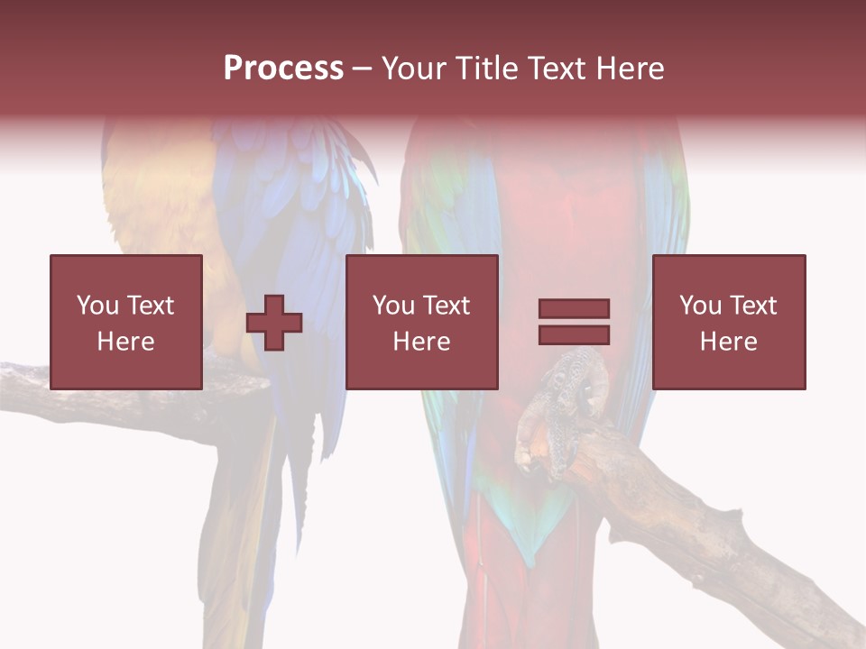 Red And Green Blue And Yellow Colourful PowerPoint Template