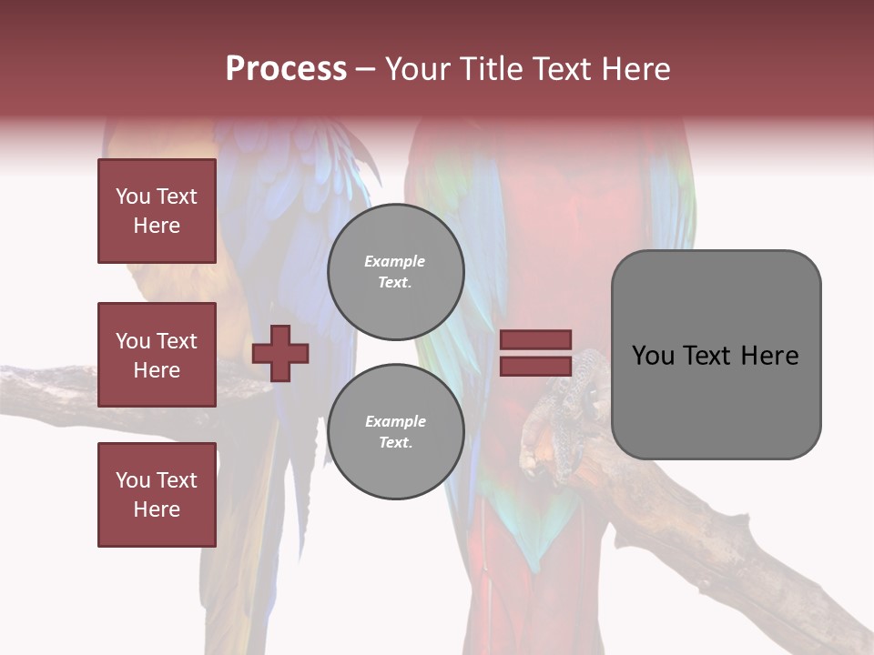 Red And Green Blue And Yellow Colourful PowerPoint Template