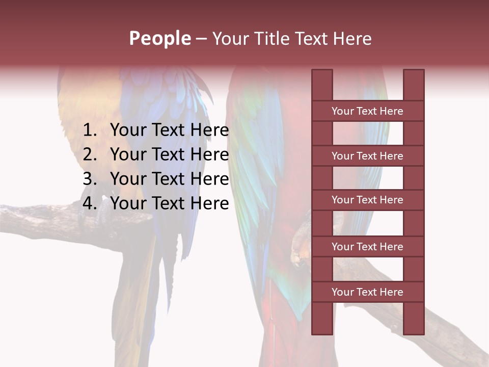 Red And Green Blue And Yellow Colourful PowerPoint Template