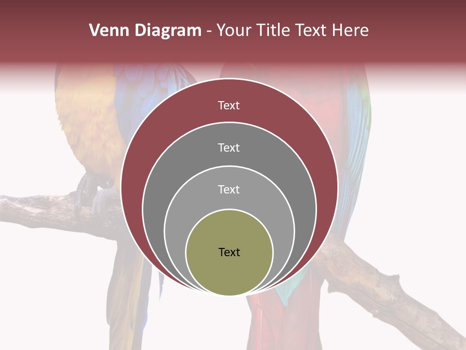 Red And Green Blue And Yellow Colourful PowerPoint Template
