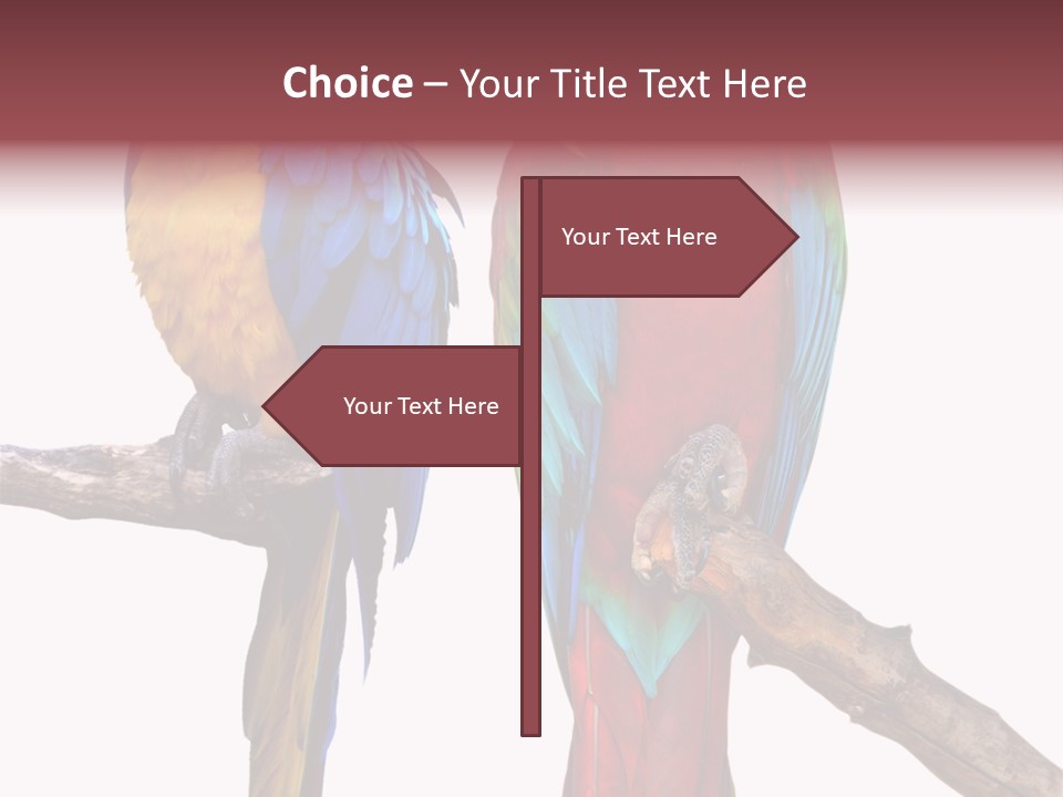Red And Green Blue And Yellow Colourful PowerPoint Template