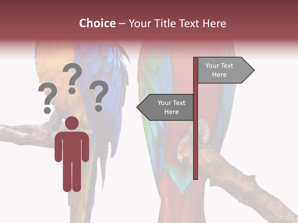 Red And Green Blue And Yellow Colourful PowerPoint Template