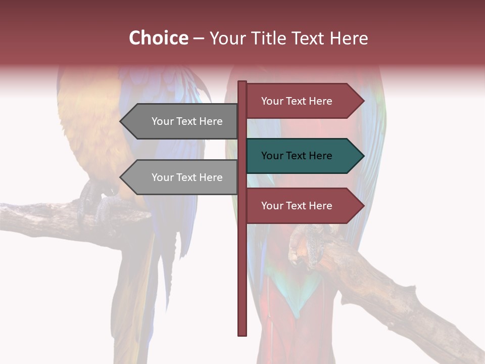 Red And Green Blue And Yellow Colourful PowerPoint Template