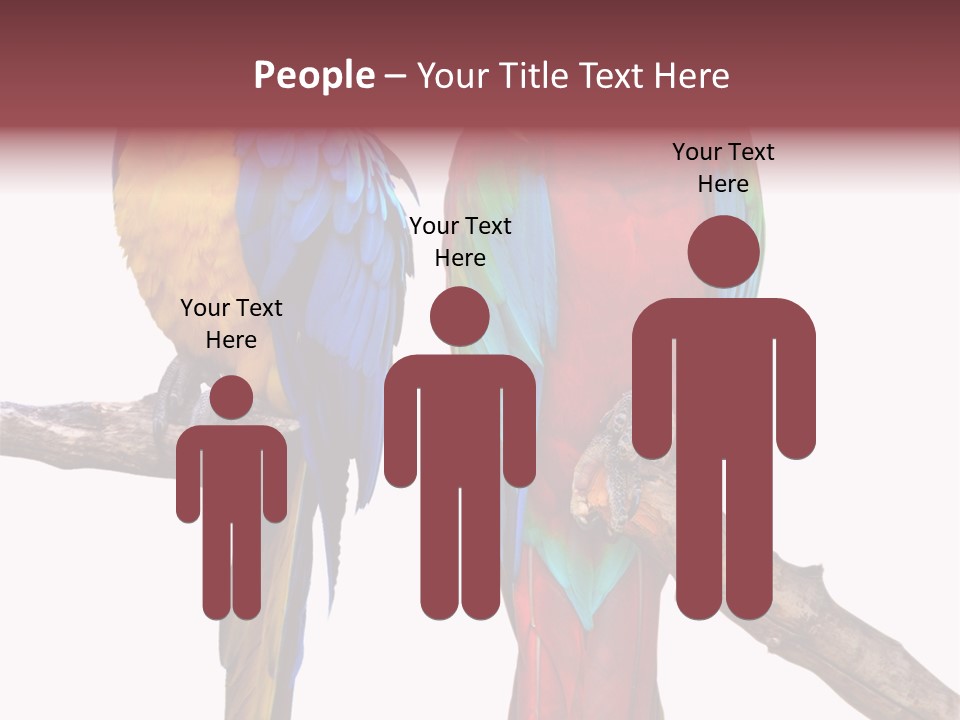 Red And Green Blue And Yellow Colourful PowerPoint Template