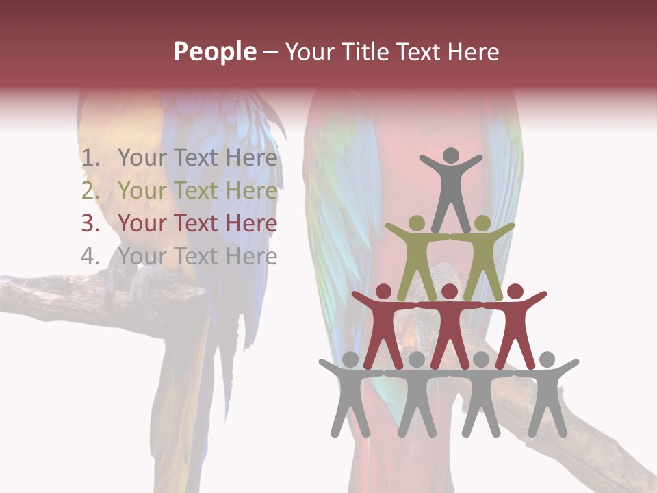 Red And Green Blue And Yellow Colourful PowerPoint Template