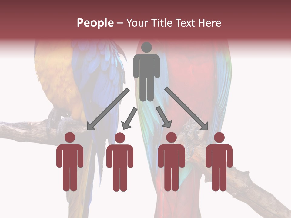 Red And Green Blue And Yellow Colourful PowerPoint Template