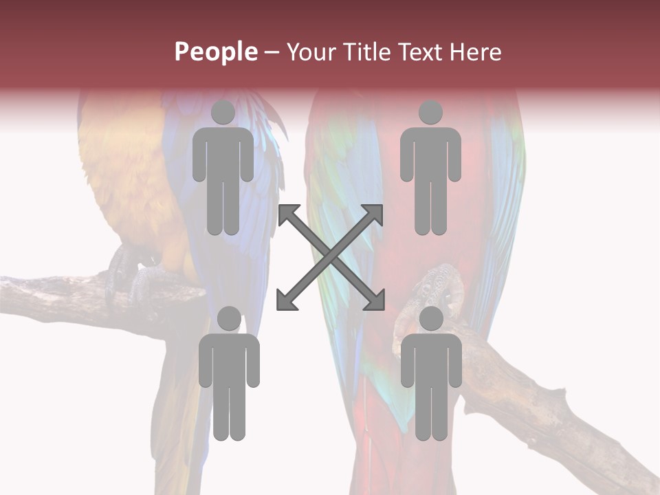 Red And Green Blue And Yellow Colourful PowerPoint Template