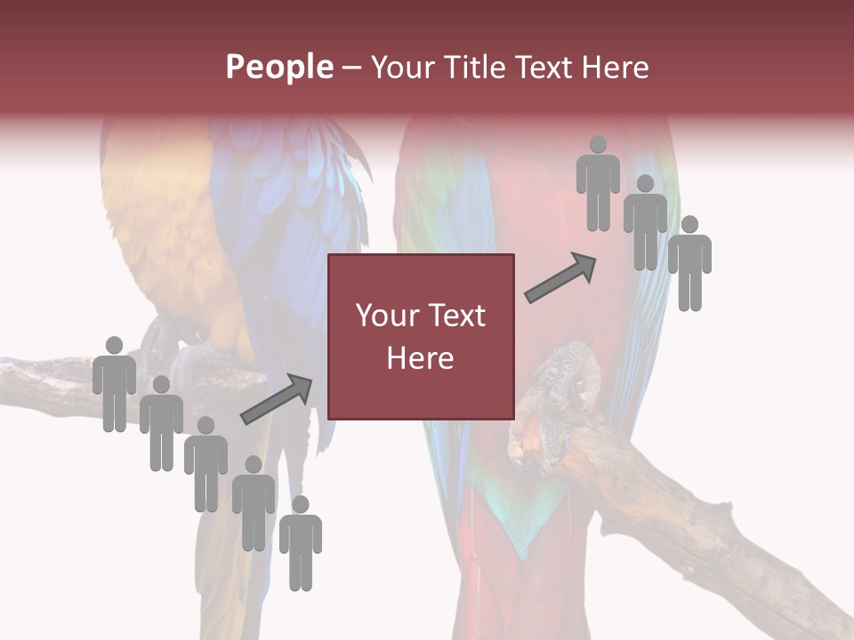 Red And Green Blue And Yellow Colourful PowerPoint Template