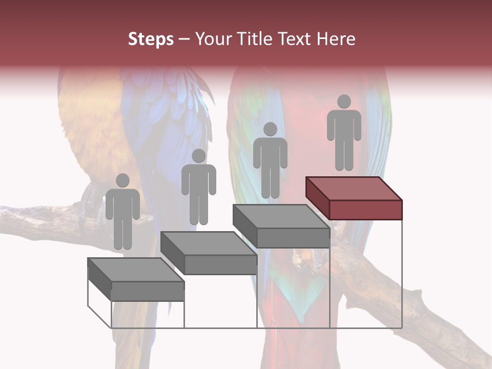 Red And Green Blue And Yellow Colourful PowerPoint Template