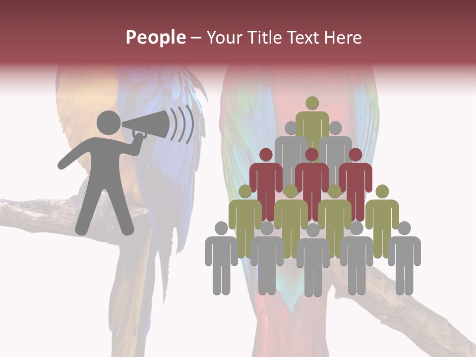Red And Green Blue And Yellow Colourful PowerPoint Template
