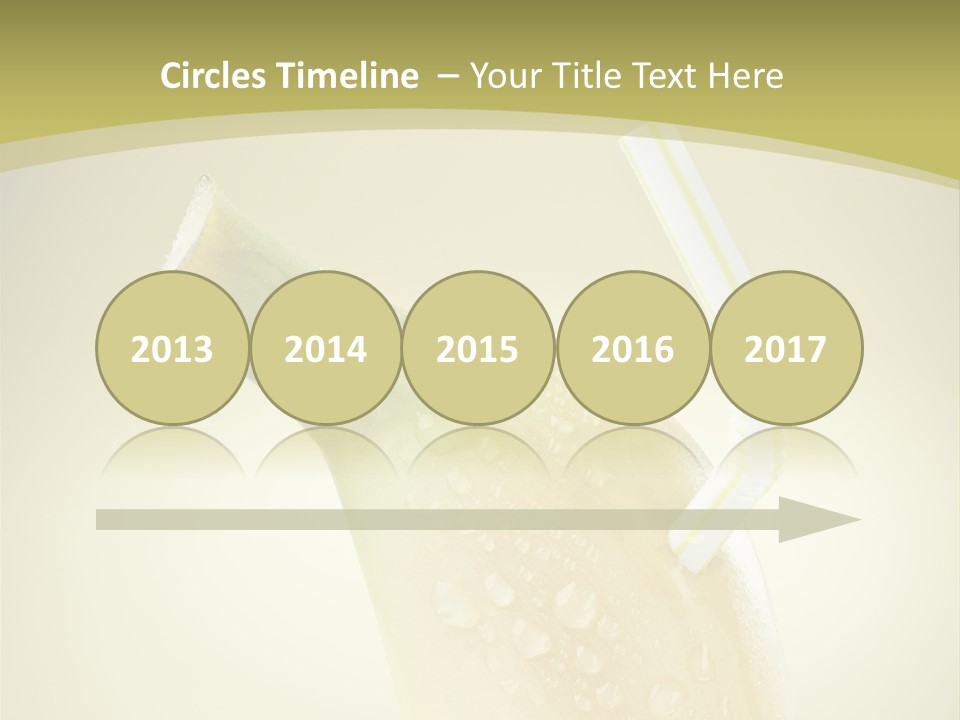 Organic Refre Hment Fruit PowerPoint Template