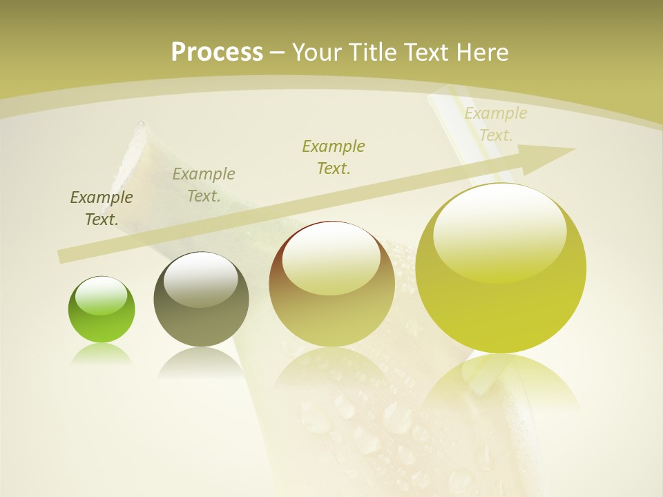 Organic Refre Hment Fruit PowerPoint Template