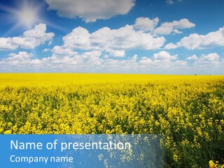 Sunshine Color Ecology PowerPoint Template