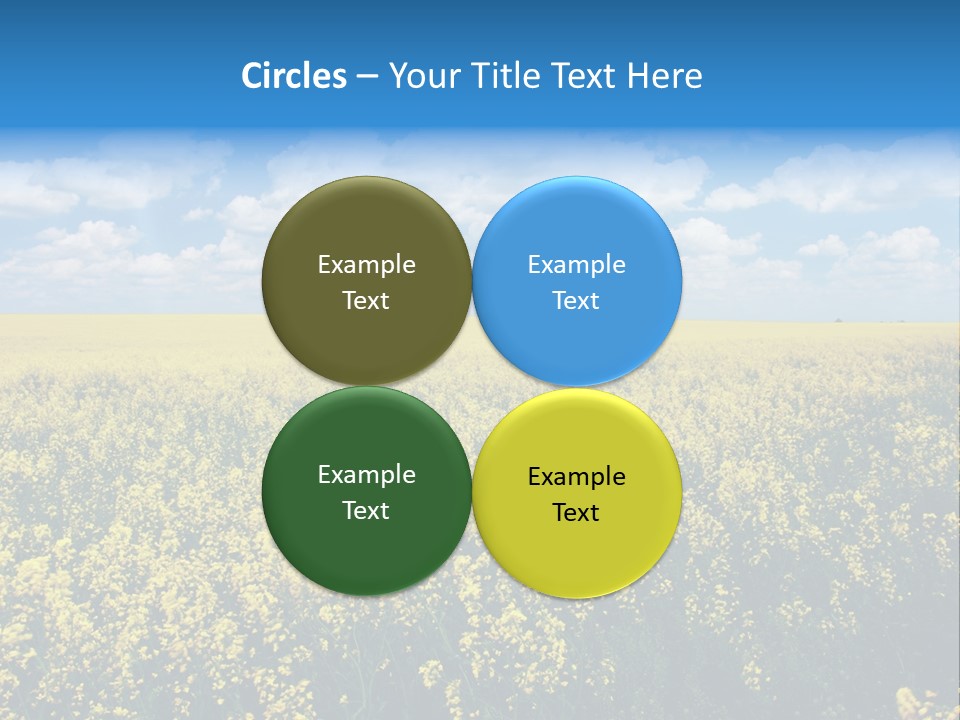 Sunshine Color Ecology PowerPoint Template