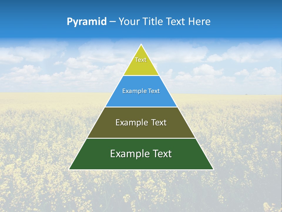 Sunshine Color Ecology PowerPoint Template