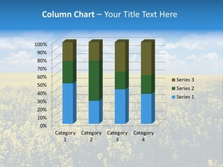Sunshine Color Ecology PowerPoint Template