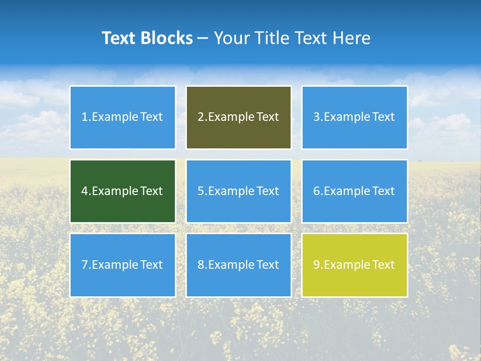 Sunshine Color Ecology PowerPoint Template