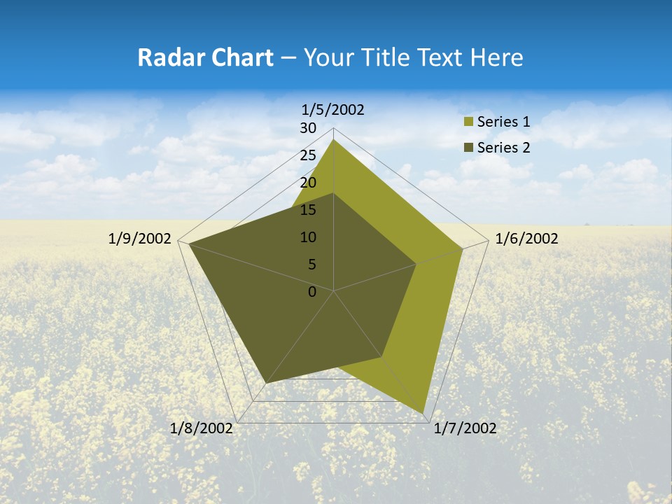 Sunshine Color Ecology PowerPoint Template