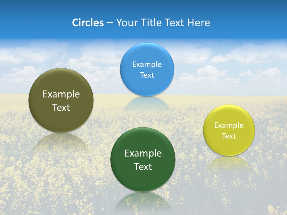 Sunshine Color Ecology PowerPoint Template