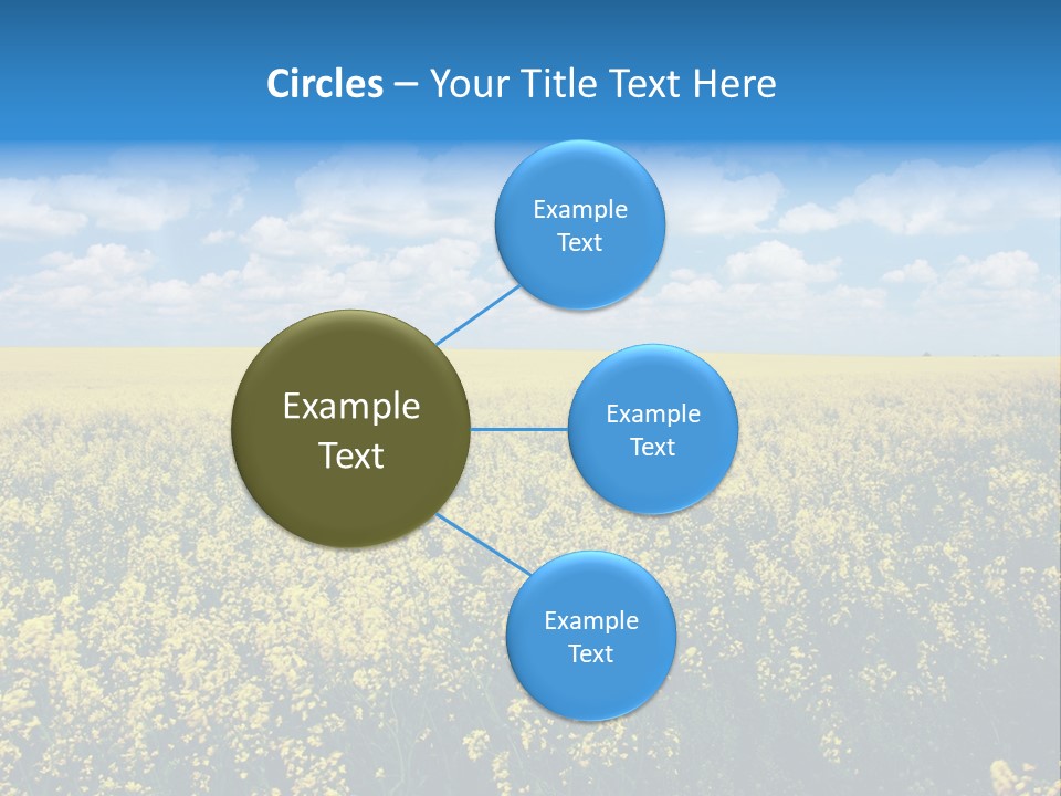 Sunshine Color Ecology PowerPoint Template