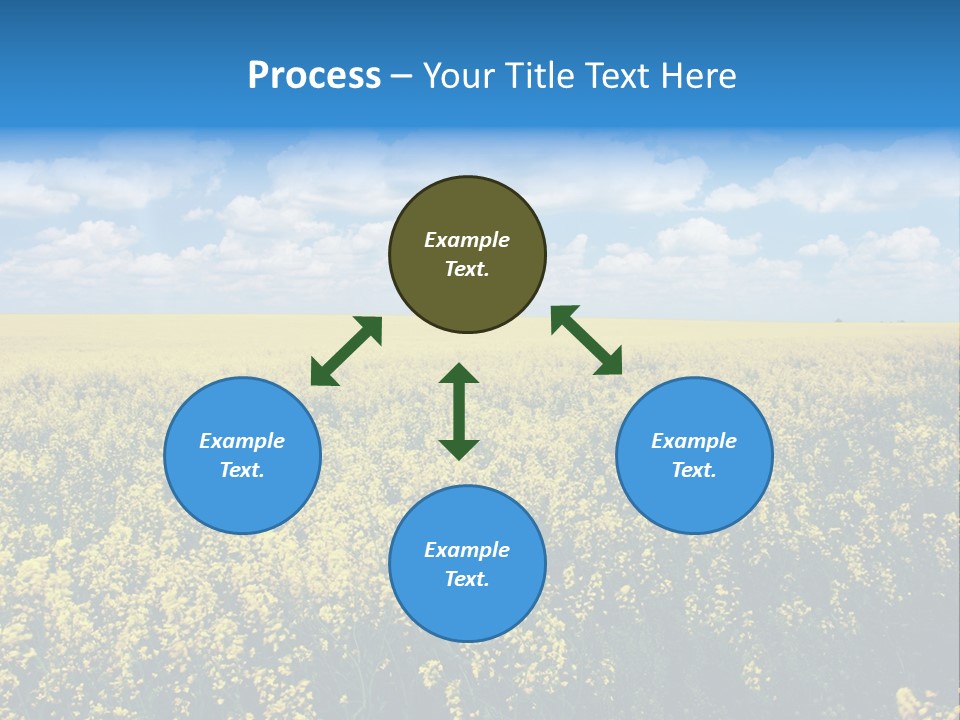 Sunshine Color Ecology PowerPoint Template
