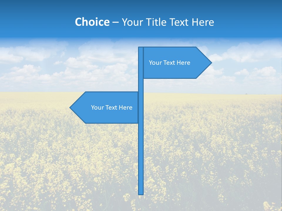 Sunshine Color Ecology PowerPoint Template