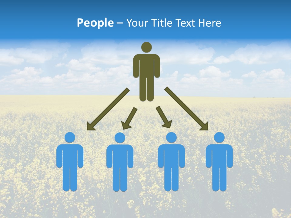 Sunshine Color Ecology PowerPoint Template