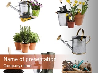 Soil Boots Sage PowerPoint Template