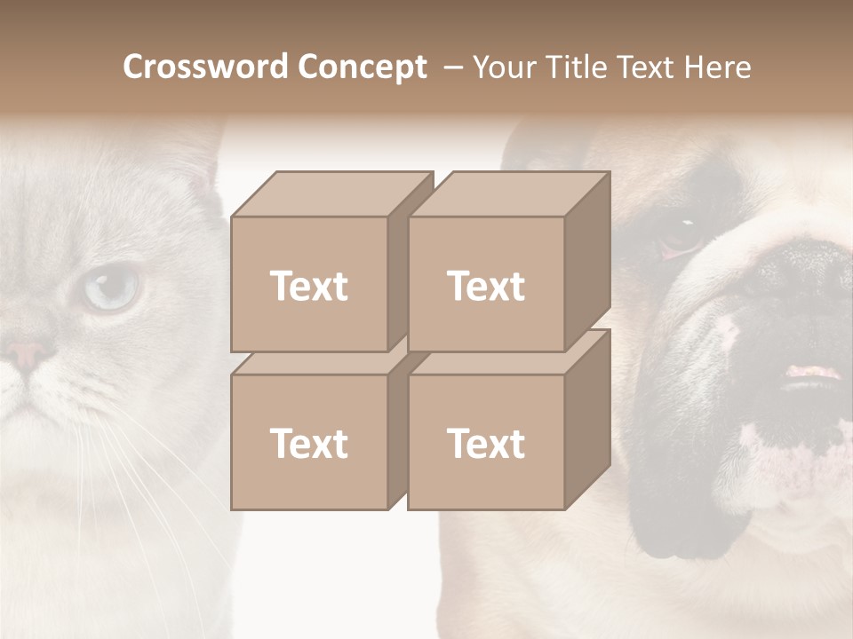 Brown Cat Eyes PowerPoint Template