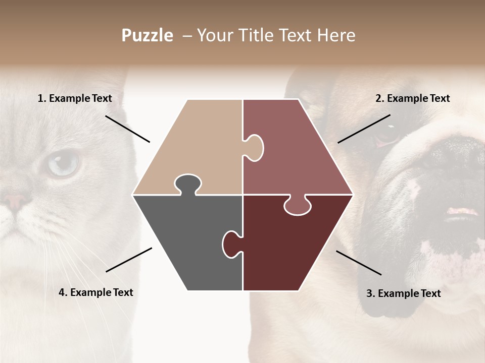 Brown Cat Eyes PowerPoint Template