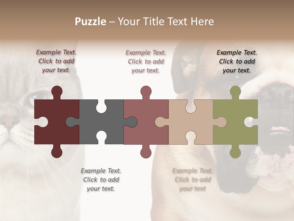 Brown Cat Eyes PowerPoint Template