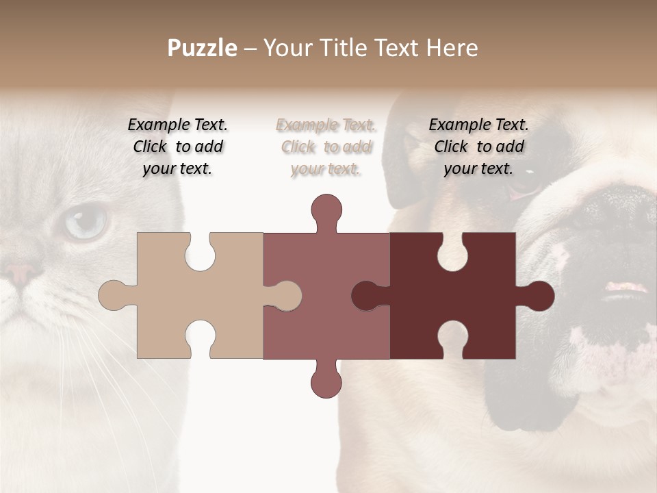 Brown Cat Eyes PowerPoint Template