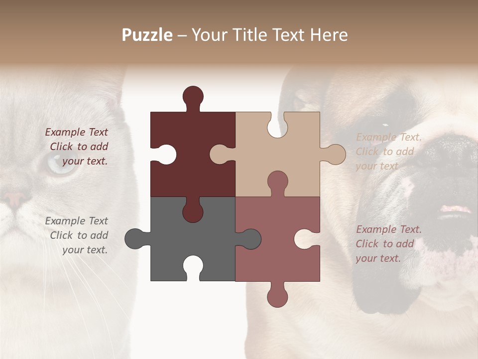 Brown Cat Eyes PowerPoint Template