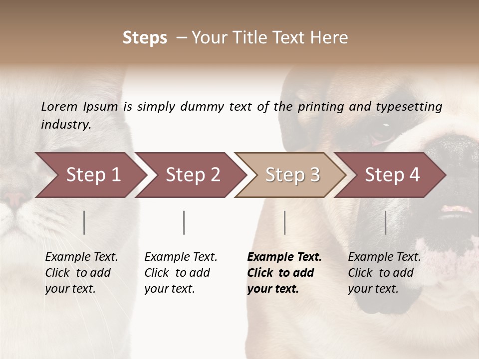 Brown Cat Eyes PowerPoint Template