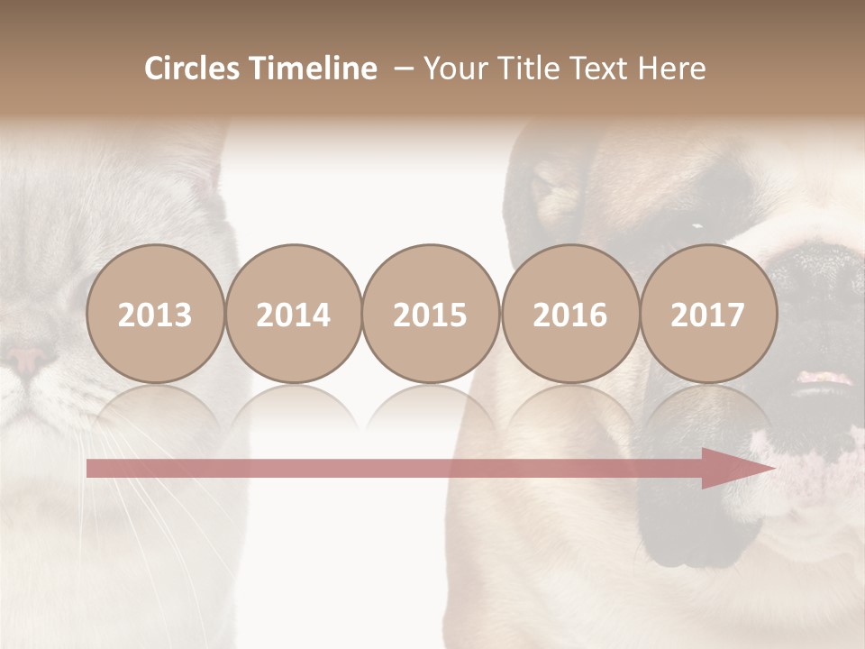 Brown Cat Eyes PowerPoint Template