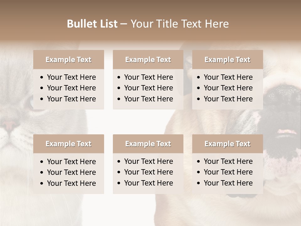 Brown Cat Eyes PowerPoint Template