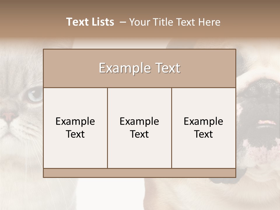 Brown Cat Eyes PowerPoint Template
