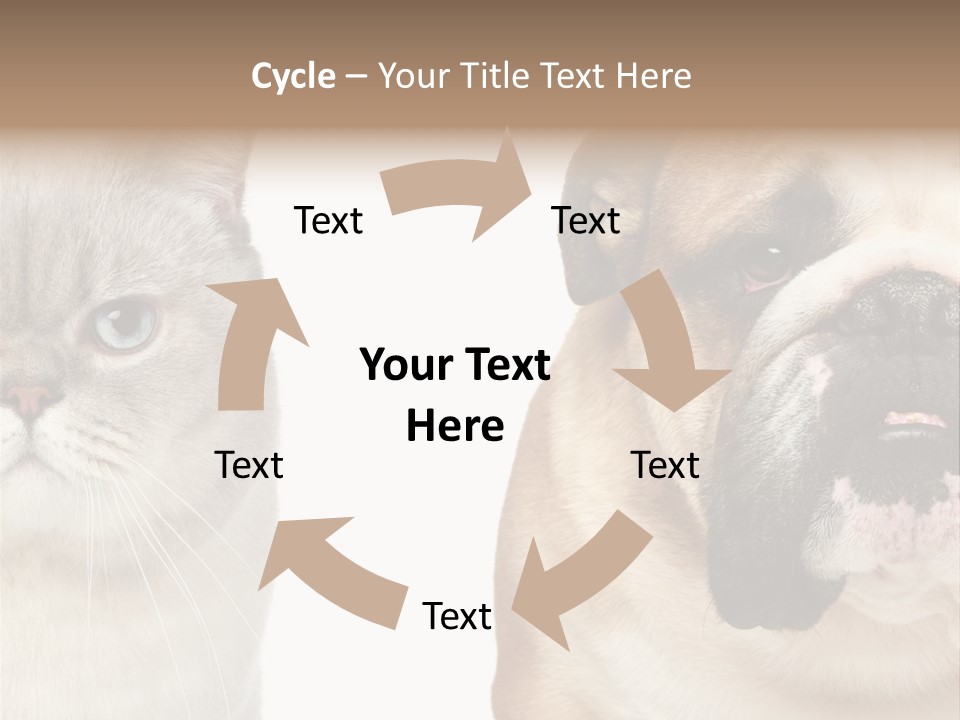 Brown Cat Eyes PowerPoint Template
