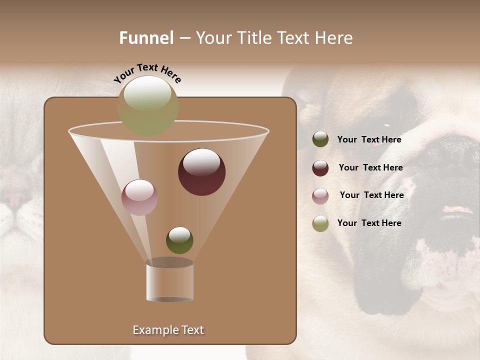 Brown Cat Eyes PowerPoint Template