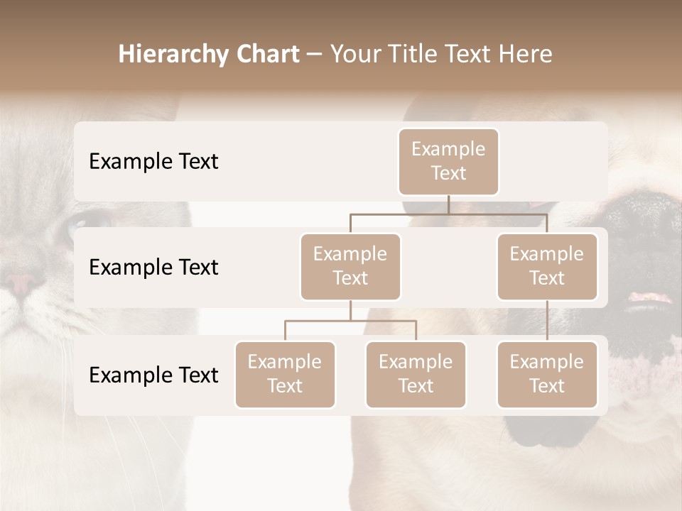 Brown Cat Eyes PowerPoint Template