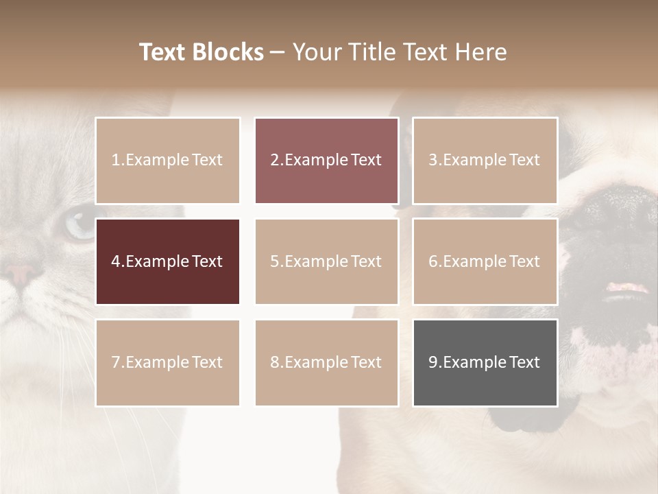 Brown Cat Eyes PowerPoint Template