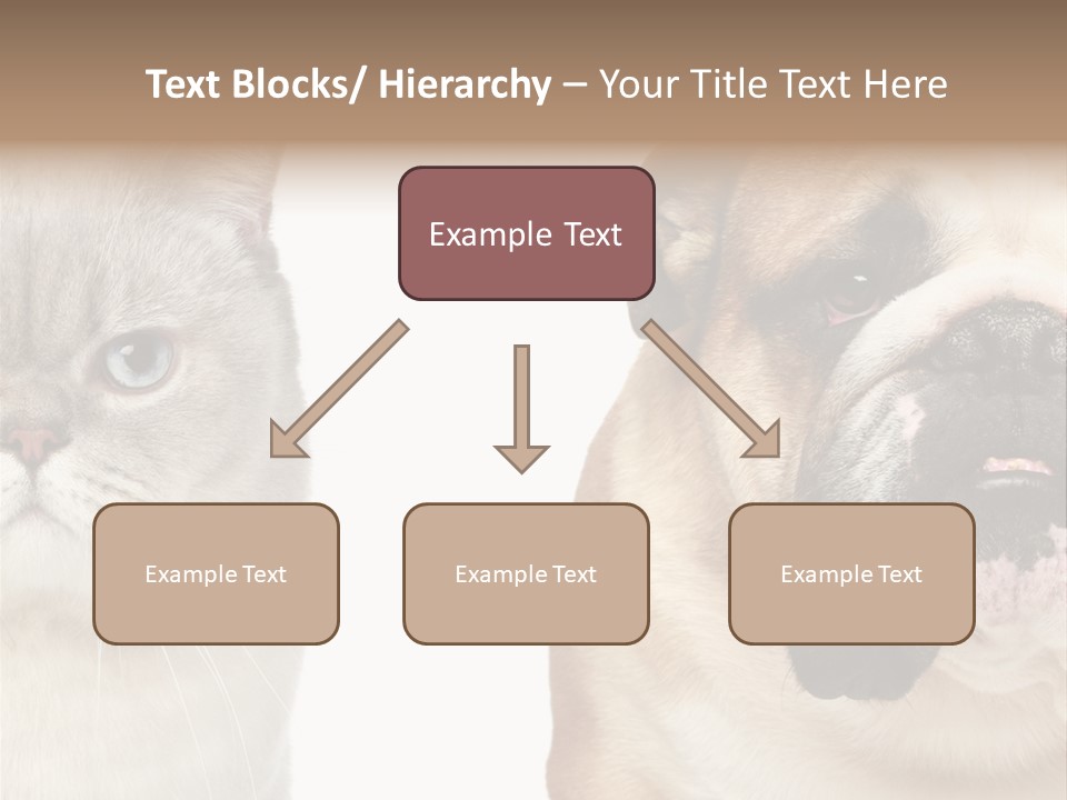 Brown Cat Eyes PowerPoint Template