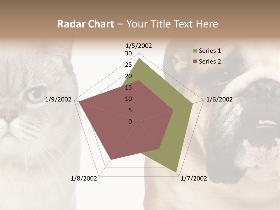 Brown Cat Eyes PowerPoint Template