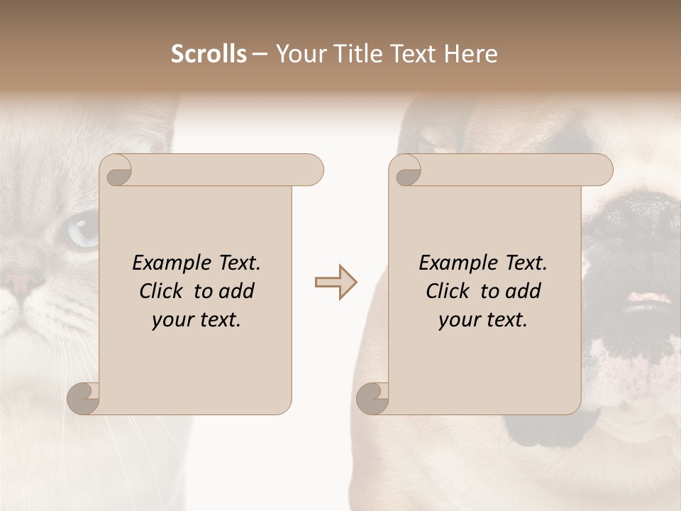 Brown Cat Eyes PowerPoint Template