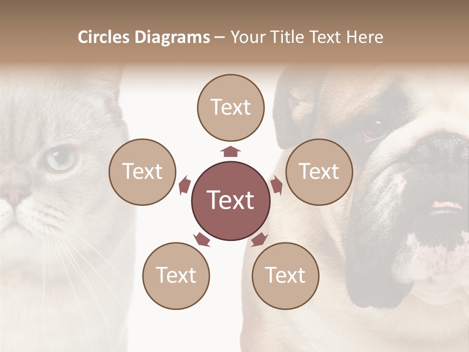 Brown Cat Eyes PowerPoint Template