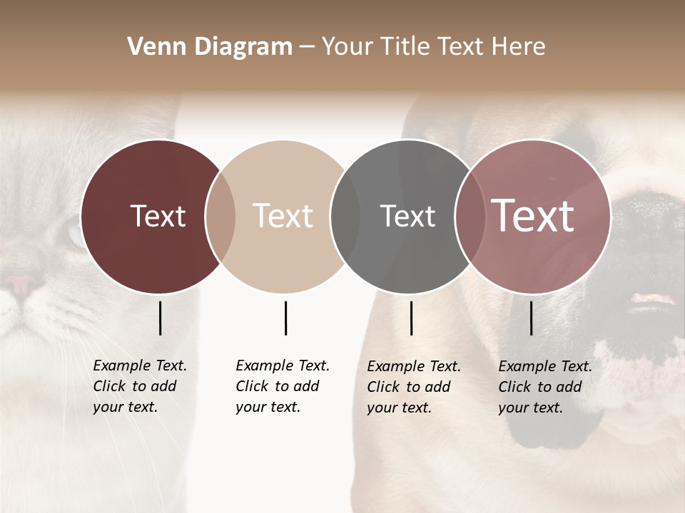 Brown Cat Eyes PowerPoint Template